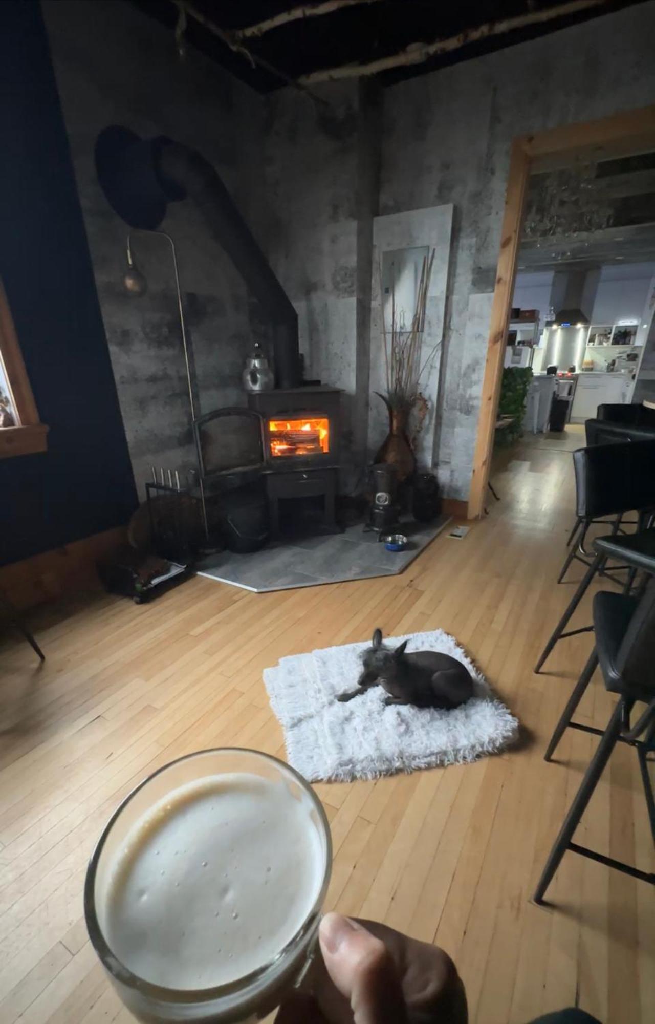 Auberge Et Bistro Namaste Lachute Экстерьер фото